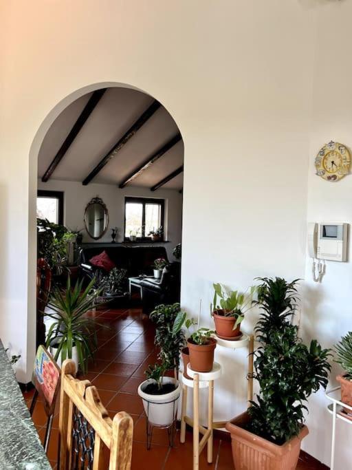 Apartment In Villa La Carruba Rivergaro Exterior photo